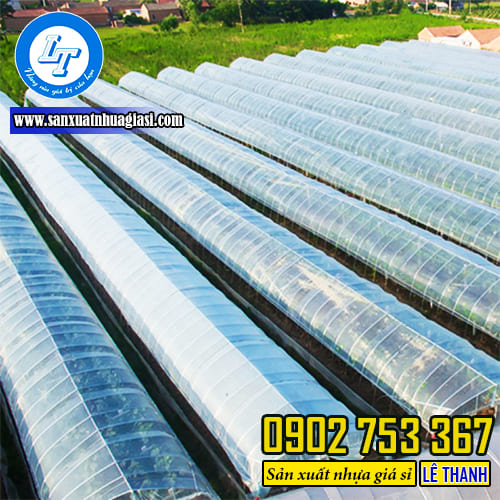 Mô hình nhà kính trong nông nghiệp