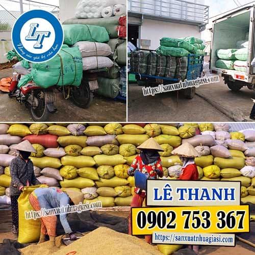 Vì sao bao tải dứa lại cần thiết?