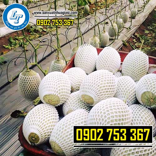 Bao xốp bọc dưa lưới