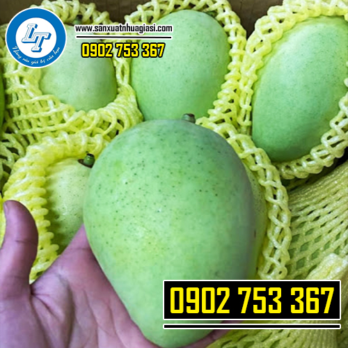 Sử dụng bao xốp lưới giúp trái không bị dập