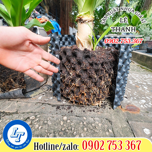 Giải pháp của bầu ươm cây thông minh Giải pháp của bầu ươm cây thông minh