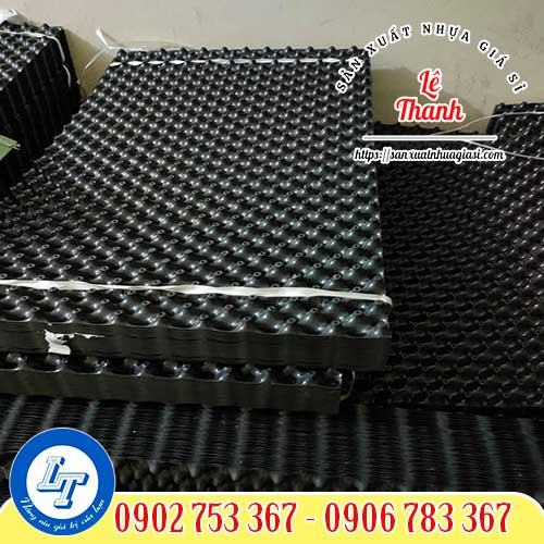 Bầu ươm v6 giá rẻ Bầu ươm v6 giá rẻ