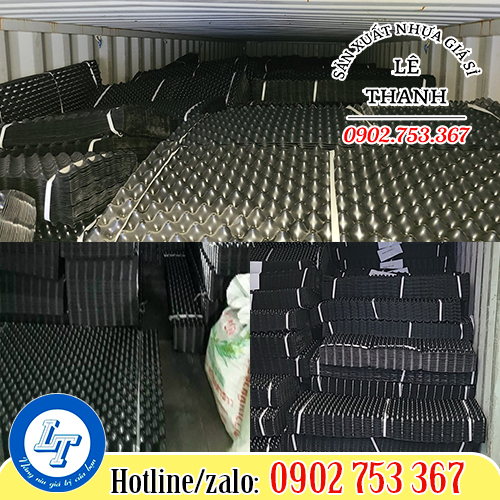 Lê Thanh bỏ sỉ bầu ươm cây giá rẻ Lê Thanh bỏ sỉ bầu ươm cây giá rẻ