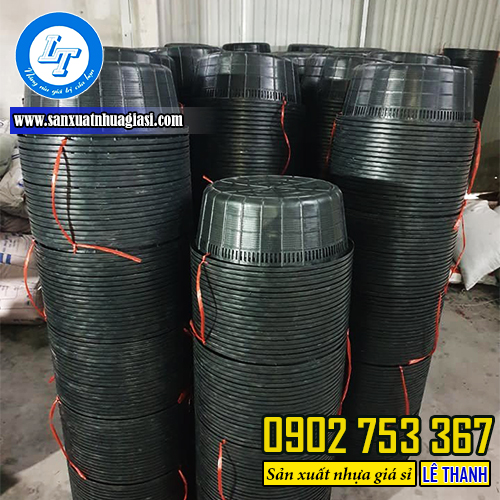 Bỏ sỉ rổ nhựa nuôi ngao