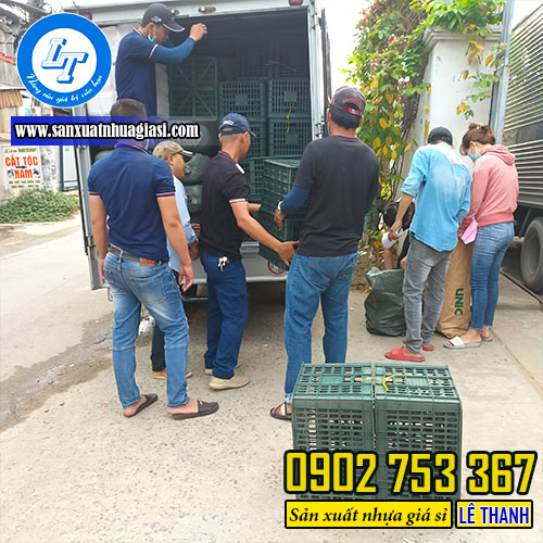 Bỏ sỉ rổ đóng xoài giá rẻ Bỏ sỉ rổ đóng xoài giá rẻ