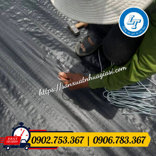 Cố định màng chống cỏ bằng ghim sắt Cố định màng chống cỏ bằng ghim sắt