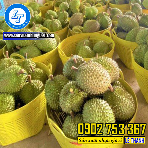 Cần xé nhựa đựng sầu riêng Cần xé nhựa đựng sầu riêng