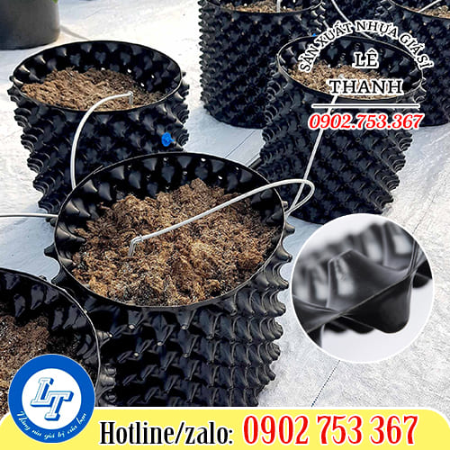 Cấu tạo bầu với các lỗ tròn hình nón