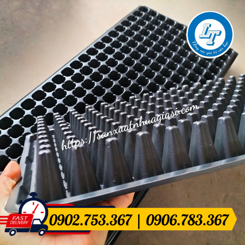 Cấu tạo mặt đáy của khay ươm Cấu tạo mặt đáy của khay ươm