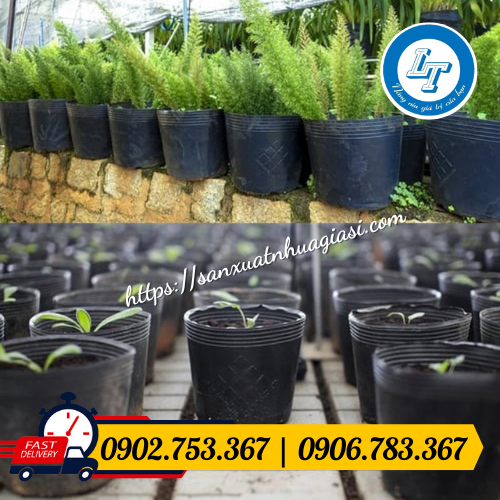 Chậu nhựa ươm cây giống Chậu nhựa ươm cây giống