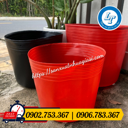 Chậu mềm có màu sắc đa dạng Chậu mềm có màu sắc đa dạng