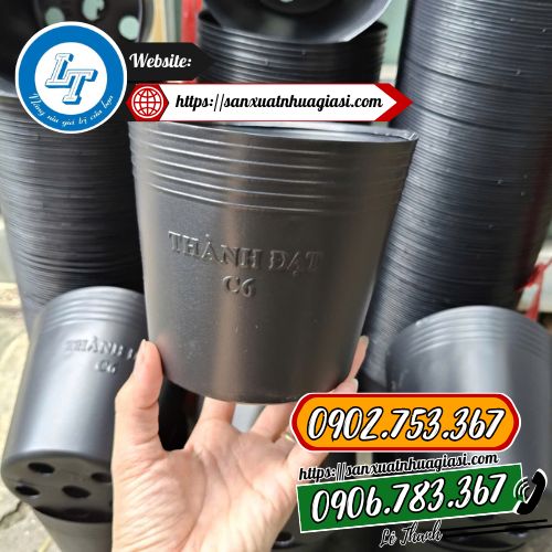 Chậu nhựa c6 Chậu nhựa c6