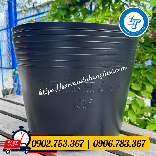 Chậu nhựa trồng vạn thọ Chậu nhựa trồng vạn thọ