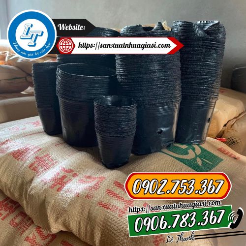 Chậu nhựa hàng sẵn kho Lê Thanh Chậu nhựa hàng sẵn kho Lê Thanh