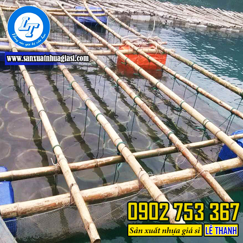 Chuẩn bị giàn và rổ nhựa nuôi tu hài