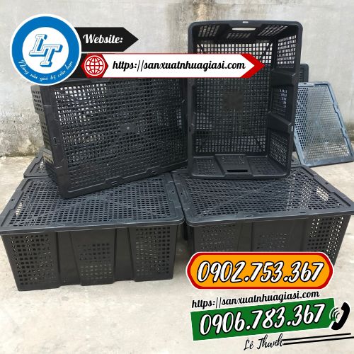Chuyên sỉ rổ nhựa C10 Chuyên sỉ rổ nhựa C10