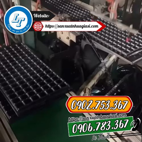 Sản xuất khay ươm hạt tại xưởng Sản xuất khay ươm hạt tại xưởng