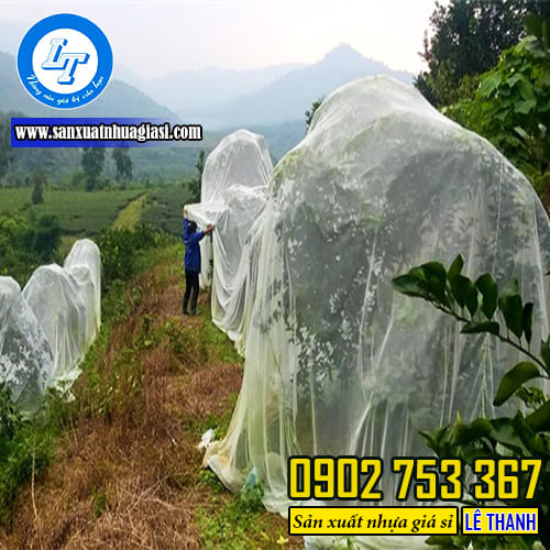 Ưu điểm của lưới mùng trong việc bảo vệ cây trồng