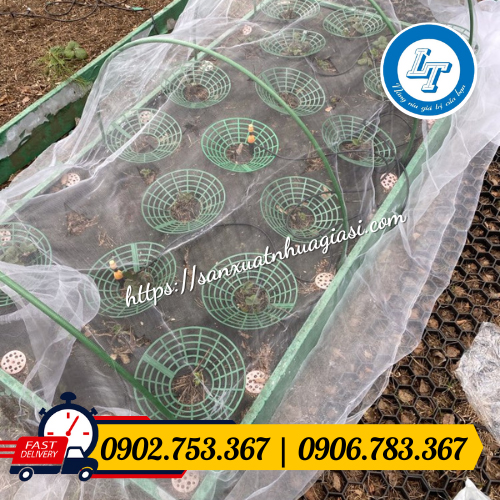 Công dụng chắn côn trùng cho vườn rau Công dụng chắn côn trùng cho vườn rau