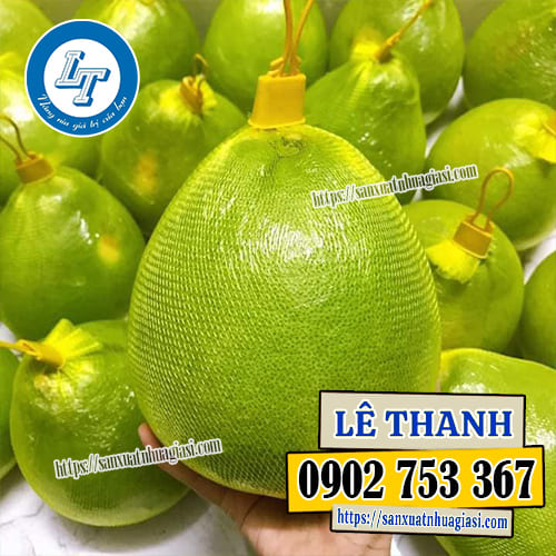 Công dụng của túi lưới bọc bưởi