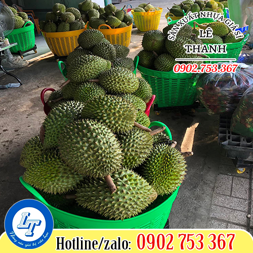 Công dụng đựng sầu riêng của giỏ nhựa Công dụng đựng sầu riêng của giỏ nhựa