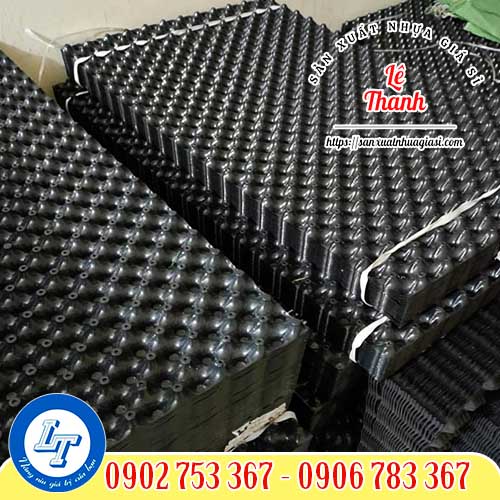 Lê Thanh cung cấp bầu ươm cây v6 giá rẻ Lê Thanh cung cấp bầu ươm cây v6 giá rẻ