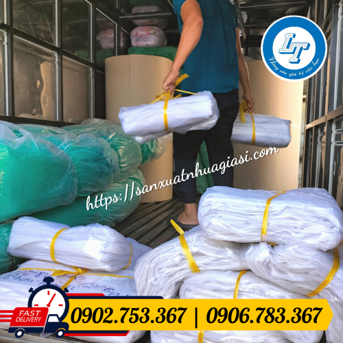 Giao sỉ 500kg túi hột xoài sỉ rẻ Giao sỉ 500kg túi hột xoài