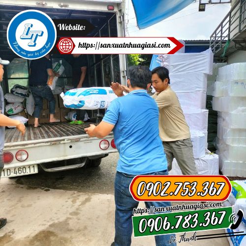 Giao đơn chậu nhựa C12 cho khách Giao đơn chậu nhựa C12 cho khách