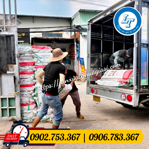 Giao hàng túi hột xoài giá rẻ Giao hàng túi hột xoài giá rẻ