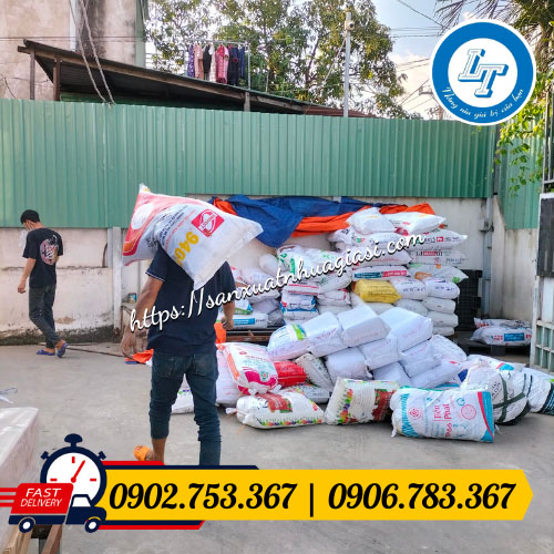 Giao hàng túi ươm cây giống giá sỉ Giao hàng túi ươm cây giống giá sỉ