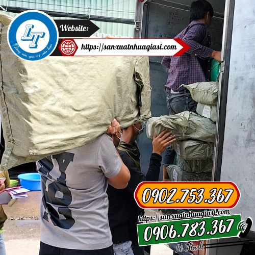 Giao khay ươm vỉ ươm cho khách Giao khay ươm vỉ ươm cho khách
