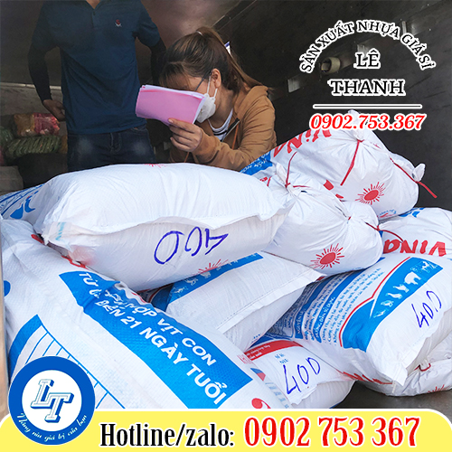 Giao lưới nhựa đựng hoa quả cho khách Giao lưới nhựa đựng hoa quả cho khách