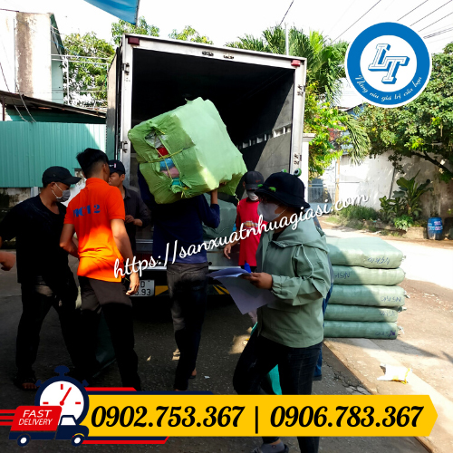 Giao sỉ chậu vạn thọ giá rẻ Giao sỉ chậu vạn thọ giá rẻ