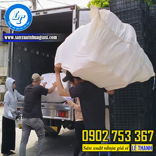 Giao sỉ cọ chùi toilet Giao sỉ cọ chùi toilet