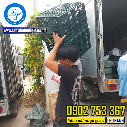 Lê Thanh giao sỉ lẻ rổ nhựa đóng xoài Lê Thanh giao sỉ lẻ rổ nhựa đóng xoài