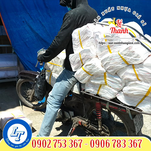 Giao túi hột xoài gấu tim cho khách sỉ Giao túi hột xoài gấu tim cho khách sỉ