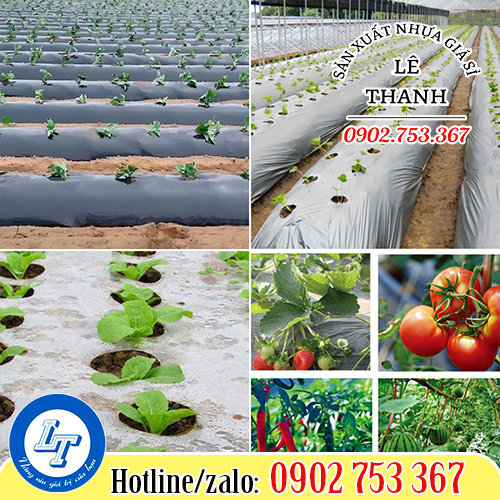 Hiệu quả sử dụng bạt nilon phủ đất Hiệu quả sử dụng bạt nilon phủ đất