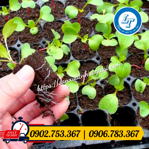 Khay ươm giúp bộ rễ cây phát triển tốt, dễ tách cây Khay ươm giúp bộ rễ cây phát triển tốt, dễ tách cây
