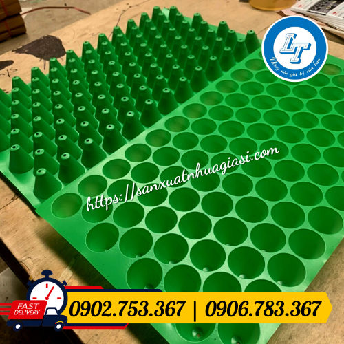 Khay ươm hạt giống màu xanh Khay ươm hạt giống màu xanh
