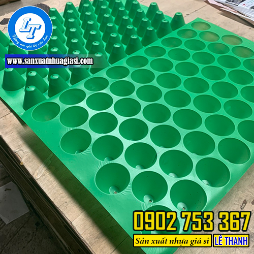 Khay ươm lỗ tròn màu xanh Khay ươm lỗ tròn màu xanh