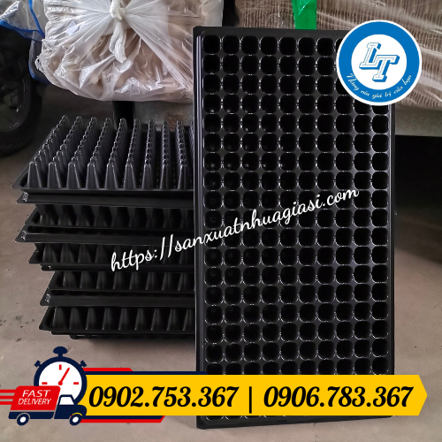 Sỉ khay ươm trồng cây con giá rẻ Lê Thanh Sỉ khay ươm trồng cây con giá rẻ Lê Thanh