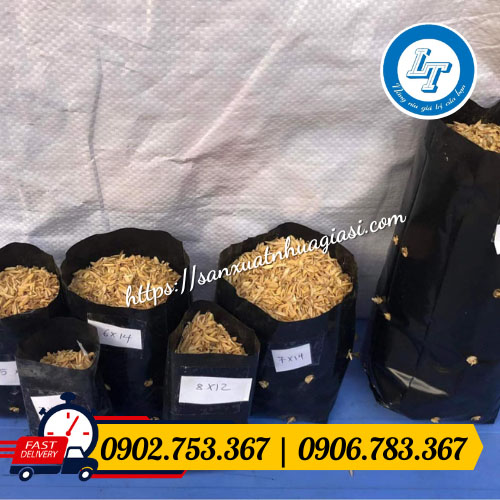 Kích thước túi nhựa đen tương ứng với cây trồng Kích thước túi nhựa đen tương ứng với cây trồng