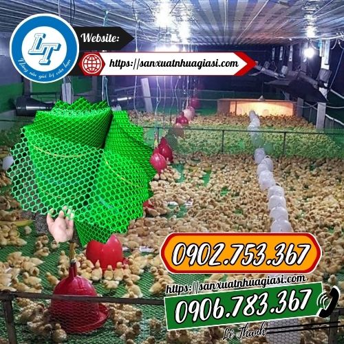 Sử dụng mắt lưới nhỏ làm sàn chuồng gà vịt Sử dụng mắt lưới nhỏ làm sàn chuồng gà vịt