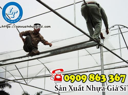 Lớp màng nhà kính trồng rau