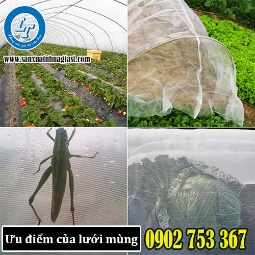 Những lợi ích khi sử dụng lưới chắn côn trùng trong nông nghiệp
