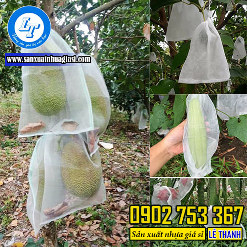 Túi bọc trái cây giúp trái cây không bị sâu hại, thối quả