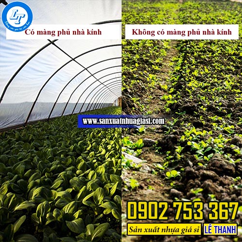 Công dụng của màng phủ nhà kính Công dụng của màng phủ nhà kính