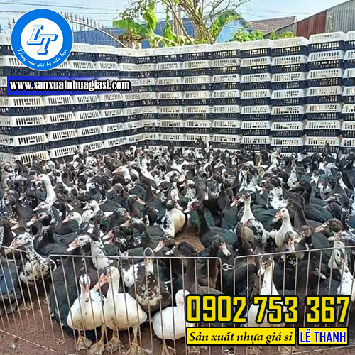 Lồng nhựa đựng gà, vịt, ngan Lồng nhựa đựng gà, vịt, ngan