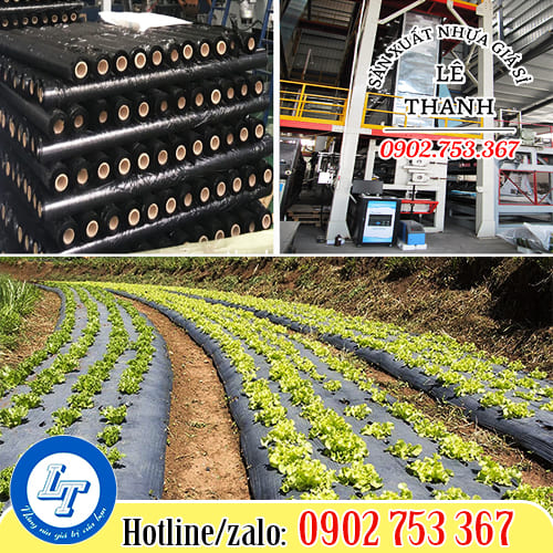 Lựa chọn màng phủ nông nghiệp chất lượng cho khách