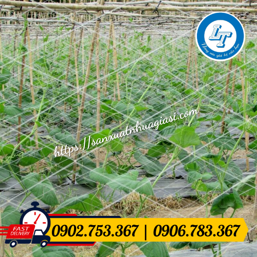 Lưới cước dùng trong nông nghiệp Lưới cước dùng trong nông nghiệp